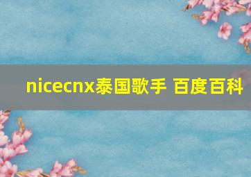 nicecnx泰国歌手 百度百科